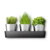 Kräutergarten|WMF Silit Collexio Indoor Kräutergarten, 3-teilig