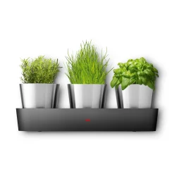 Kräutergarten|WMF Silit Collexio Indoor Kräutergarten, 3-teilig